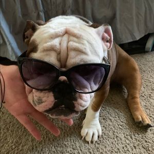 Meet your Posher, Michael